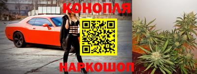 Альфа ПВП Гусиноозёрск