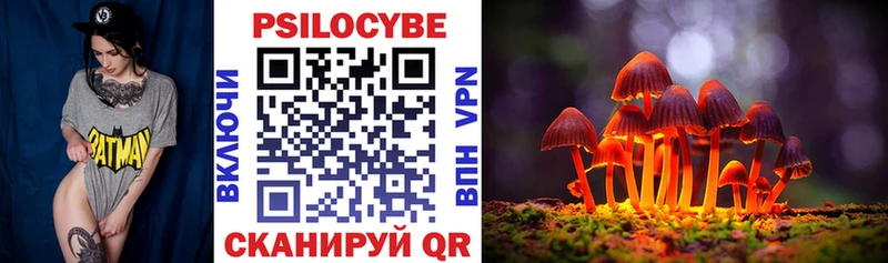 как найти   Изобильный  Псилоцибиновые грибы GOLDEN TEACHER 