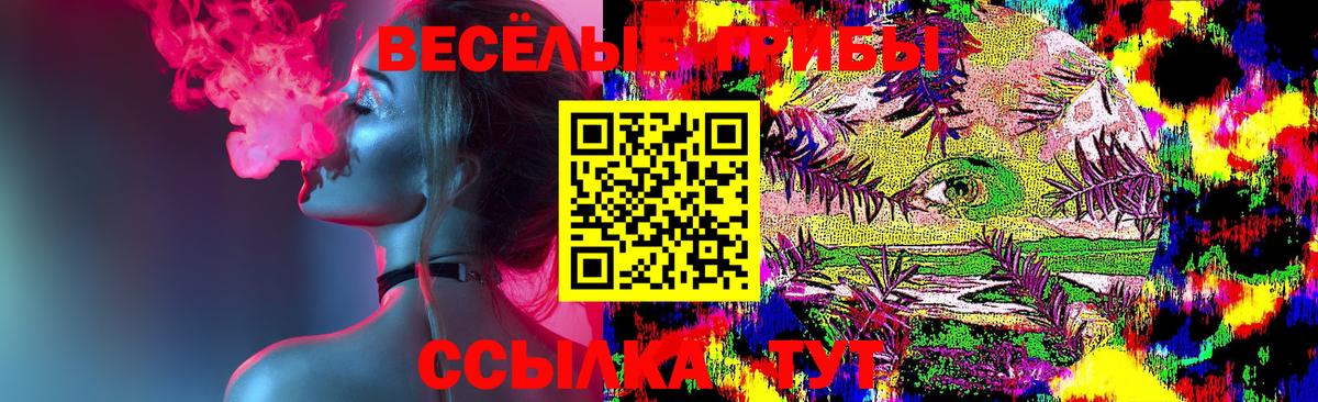 Галлюциногенные грибы Psilocybe  как найти закладки  Изобильный 